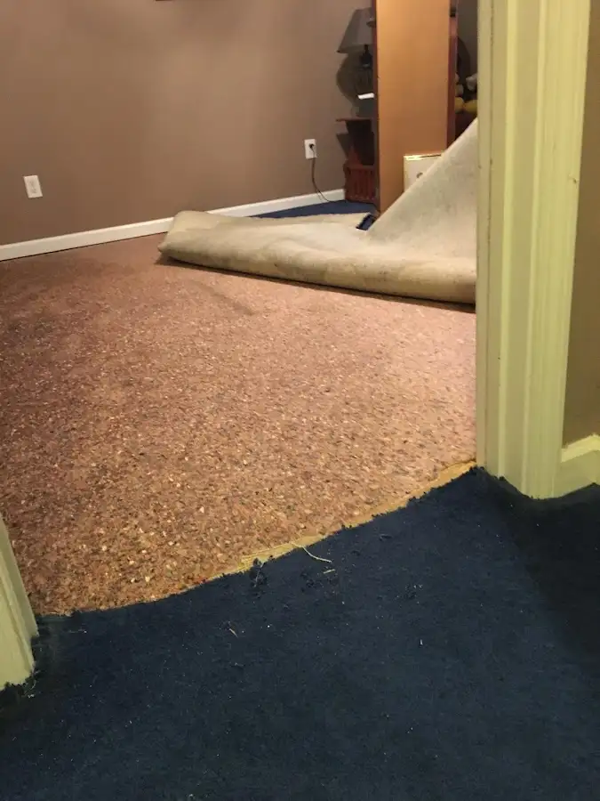 Carpet pad removal revealing water damage during Drying & Dehumidification in Milford